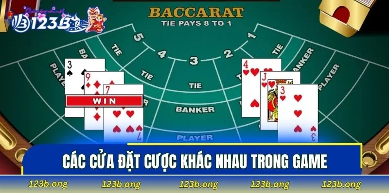 Các cửa đặt cược khác nhau trong game