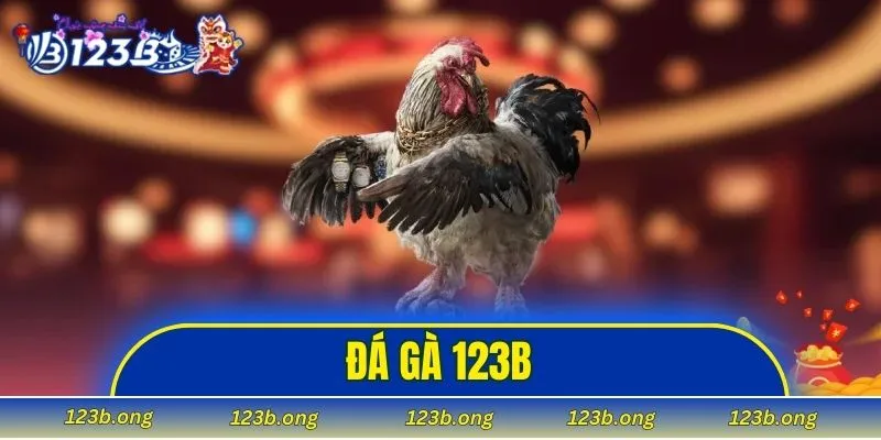 Đá Gà 123B