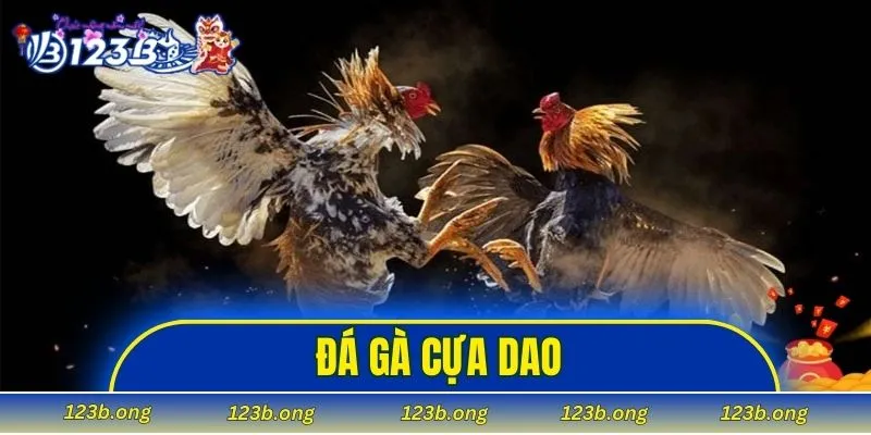 đá gà cựa dao