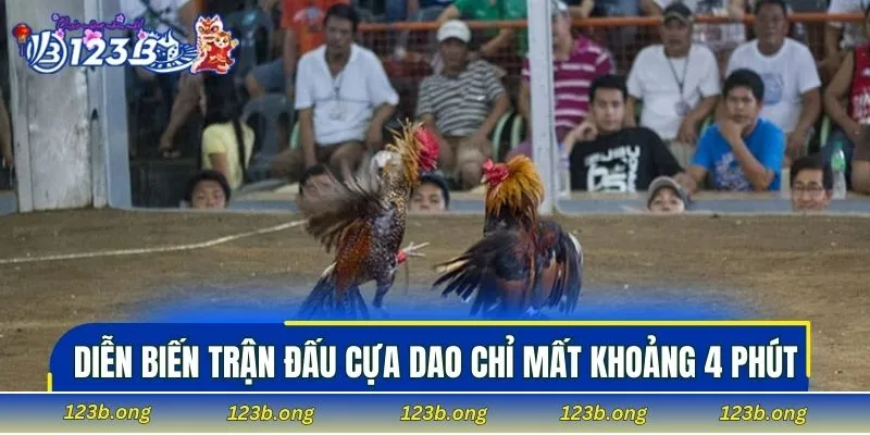 Diễn biến trận đấu cựa dao chỉ mất khoảng 4 phút