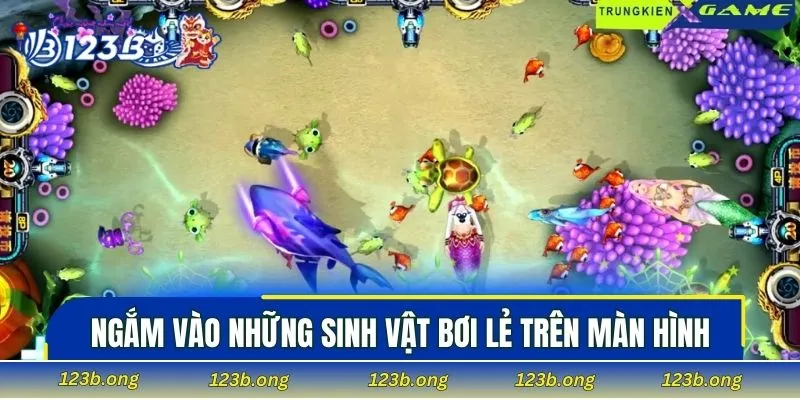 Ngắm vào những sinh vật bơi lẻ trên màn hình