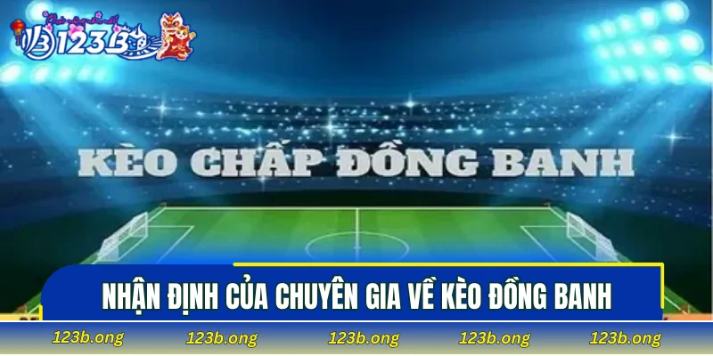 Nhận định của chuyên gia về kèo đồng banh