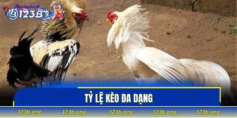 Tỷ lệ kèo đa dạng giúp bạn xây dựng chiến lược tốt hơn